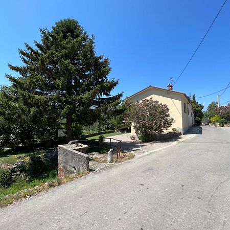 Apartmaji Klabjan - Kaki Osp Exteriör bild